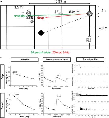 <mark class="highlighted">Auditory Information</mark> Accelerates the Visuomotor Reaction Speed of Elite Badminton Players in Multisensory Environments